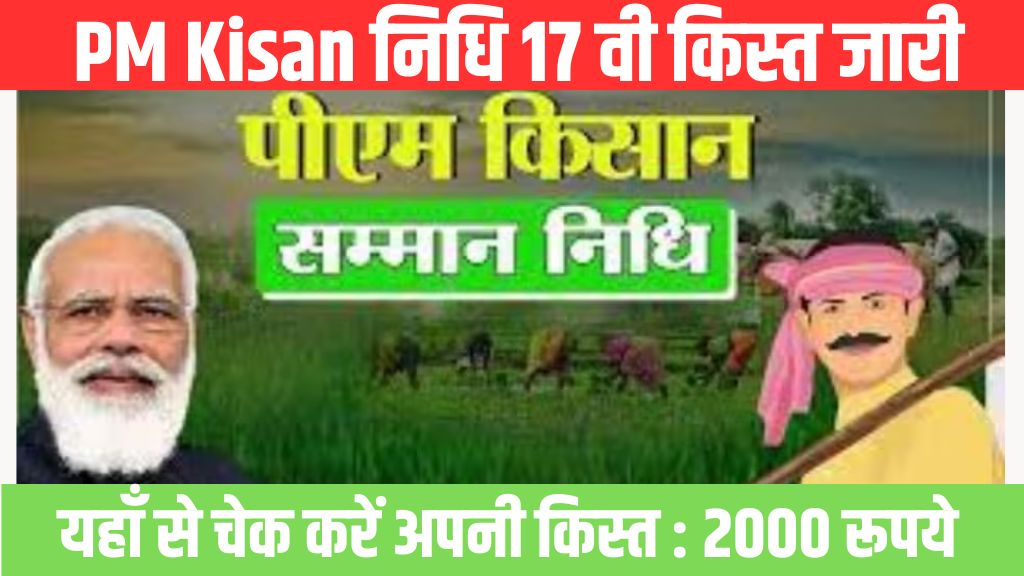 PM Kisan 17th installment Release: पीएम किसान सम्मान निधि योजना की 2000 रुपये की नई किस्त जारी यहां से चेक करें