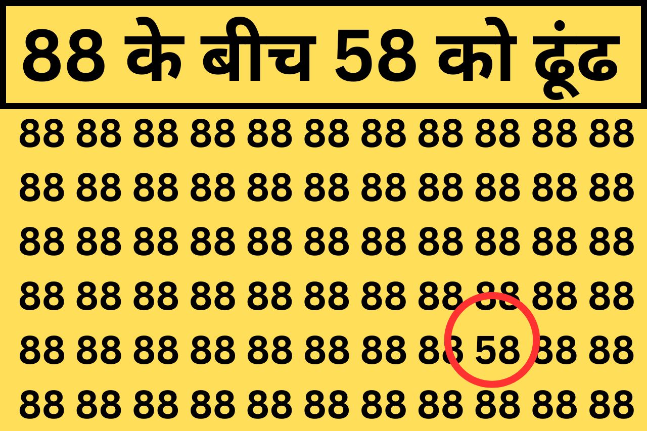 Optical Illusion : हिम्मत है तो सिर्फ 5 सेकंड में 88 में छुपा 58 ढूंढ निकालिये, बड़े–बड़े सूरमा हो चुके फेल