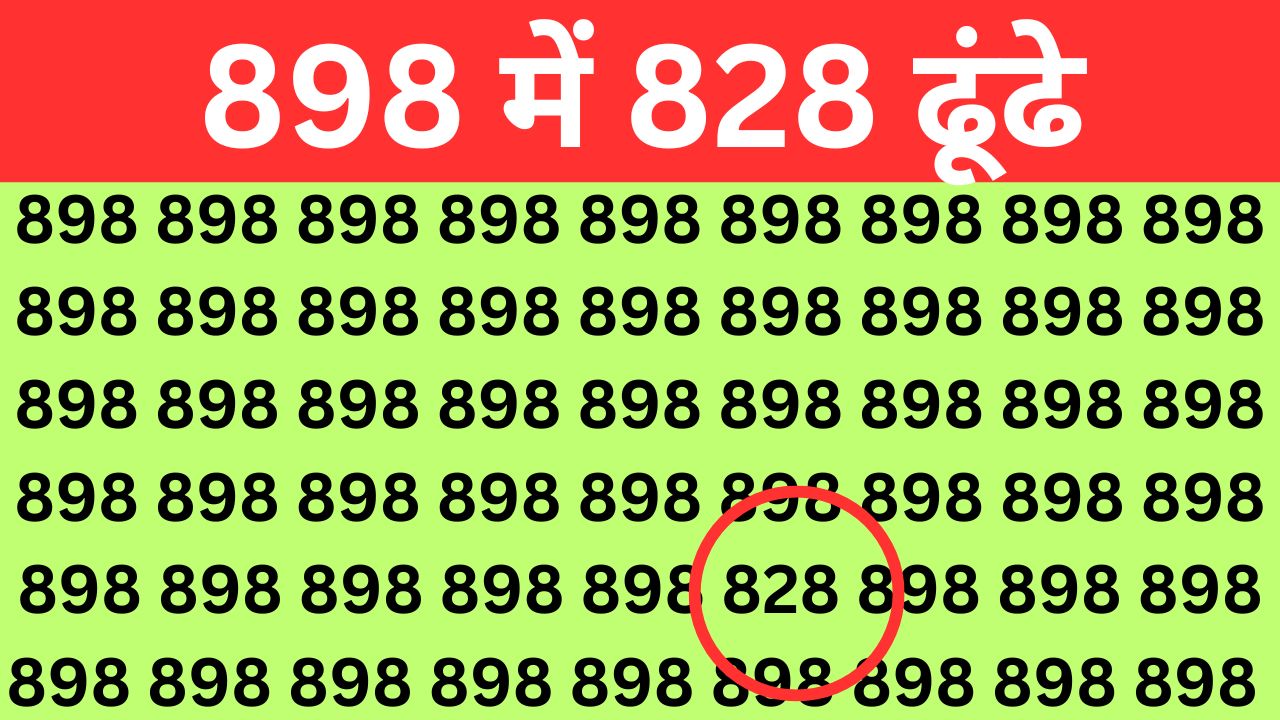 Optical Illusion : बताओ कितनी तेज है आपकी बुद्धि, पारखी नजर वाले लोग 898 में छिपे 828 नंबर को 10 सेकंड में ढूंढ निकालेंगे